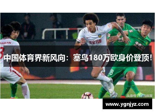中国体育界新风向：塞鸟180万欧身价登顶！