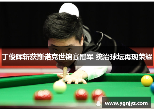 丁俊晖斩获斯诺克世锦赛冠军 统治球坛再现荣耀